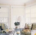 Pros and Cons of Screen Shades