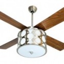 The Beauty (?) of Ceiling Fans
