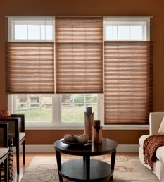 Graber pleated shades