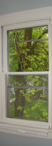 Different Types of Windows 