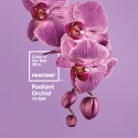 Pantone Color of the Year 2014:  Radiant Orchid